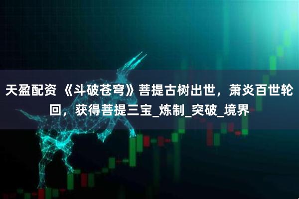 天盈配资 《斗破苍穹》菩提古树出世，萧炎百世轮回，获得菩提三宝_炼制_突破_境界